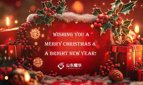 Merry Christmas & a Bright New Year 